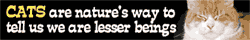 Cats are nature's way to tell us we're lesser beings.
