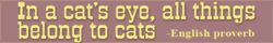 In a cat's eye, all things belong to cats